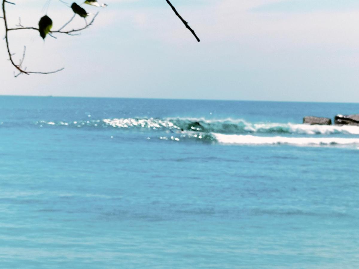 Secret Swell Hotel Tangalle Bagian luar foto